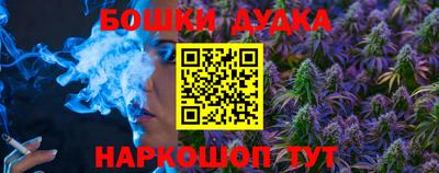 гидра Можга