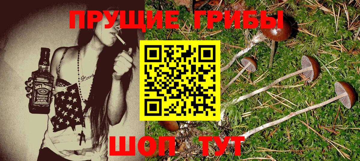 Галлюциногенные грибы прущие грибы Усть-Илимск